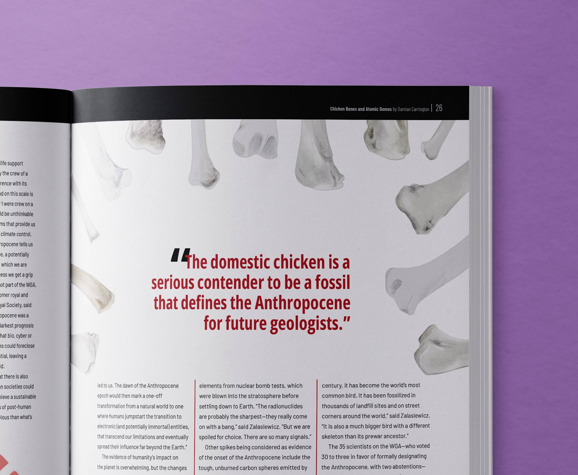 sustainable Magazine | Chicken Bones and Atomic Domes article spread featuring a four column layout and vector illustrations of water bottles and the Earth